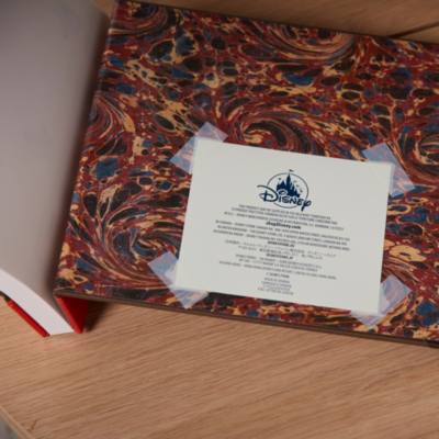 Adventure Book A4 Replica Journal, Up