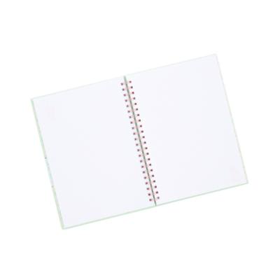 Disney Store Tinker Bell A4 Notebook, Peter Pan