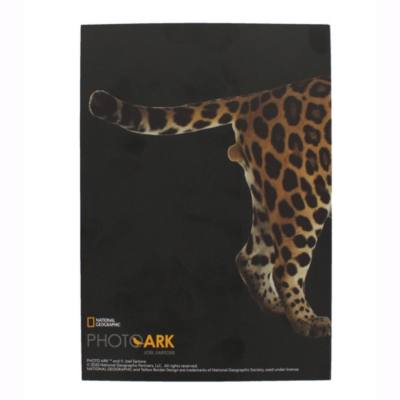 Disney Store National Geographic A5 Notebook and Pen