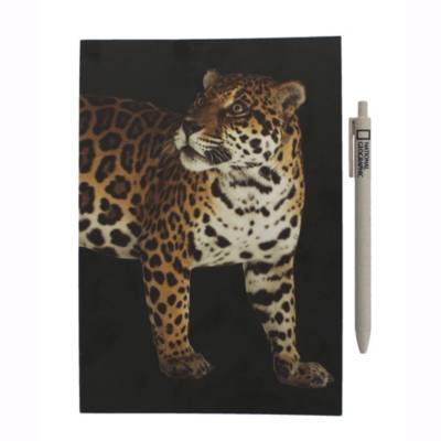 Disney Store National Geographic A5 Notebook and Pen