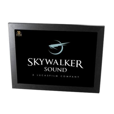 Disney Store Skywalker Sound Framed Print