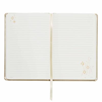 Disneyland Paris Tinker Bell 30th Anniversary Journal