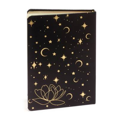 Diario Jasmine, Aladd&iacute;n, Disney Store