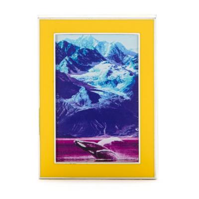 Disney Store Pin's National Geographic océan