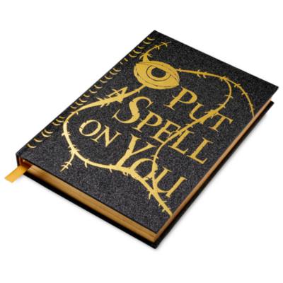 Disney Store Hocus Pocus Journal