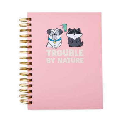 Diario Pocahontas, Disney Store