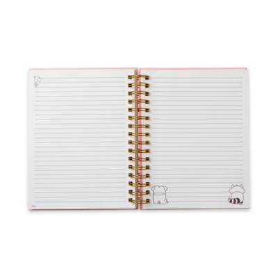 Diario Pocahontas, Disney Store