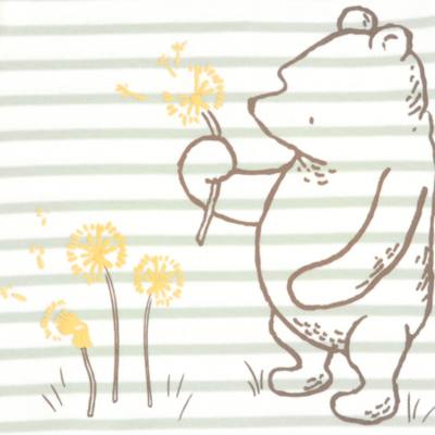 Winnie the Pooh Baby Bodysuit Set