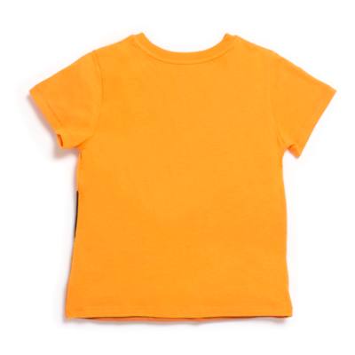 The Lion King T-Shirt For Kids