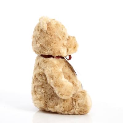 Rainbow Design Classic Winnie The Pooh Soft Toy