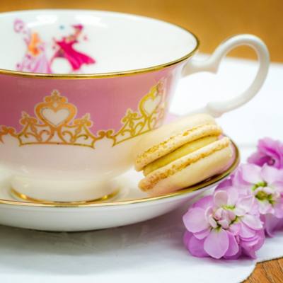 English Ladies Co. Bone China Sleeping Beauty Tea Cup and Saucer