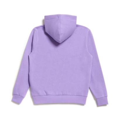 Winnie the Pooh and Friends Lilac Ladies' Hooded Sweatshirt