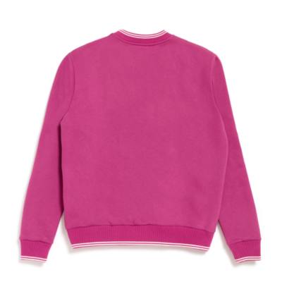 Piglet Sweatshirt For Adults, Winnie the Pooh