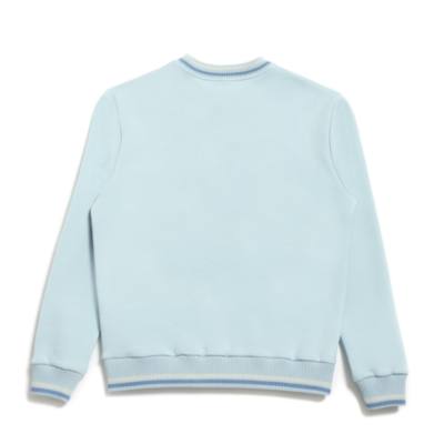 Eeyore Blue Sweatshirt For Adults, Winnie the Pooh