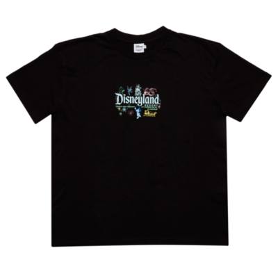 Skinnydip Disneyland T-Shirt for Adults