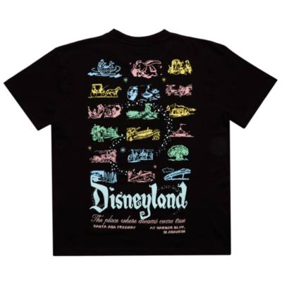 Skinnydip Disneyland T-Shirt for Adults