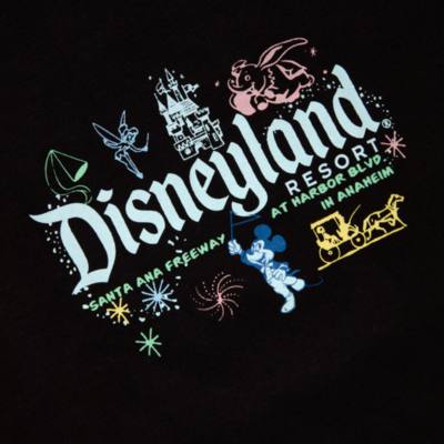 Skinnydip Disneyland T-Shirt for Adults