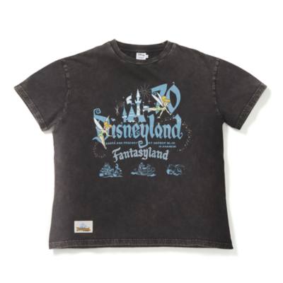 Skinnydip Disneyland Grey T-Shirt for Adults
