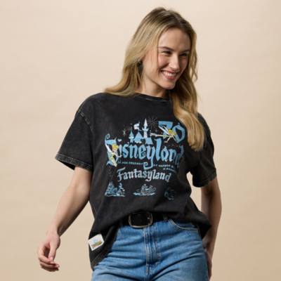 Skinnydip Disneyland Grey T-Shirt for Adults