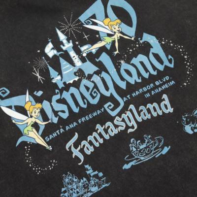 Skinnydip Disneyland Grey T-Shirt for Adults