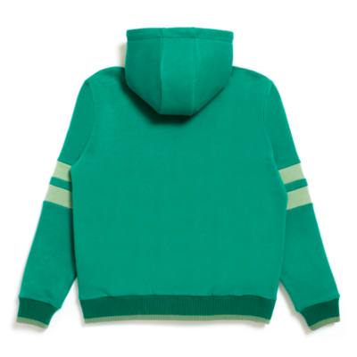 Sudadera con capucha Mickey Mouse para adultos