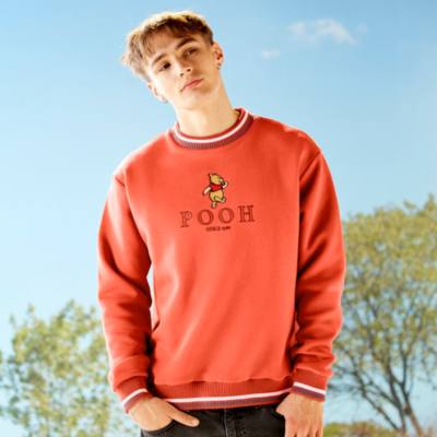 Winnie the Pooh Rust Sweatshirt For Adults, Winnie the Pooh