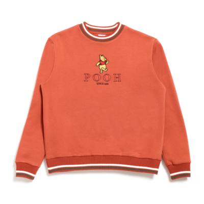 Winnie the Pooh Rust Sweatshirt For Adults, Winnie the Pooh