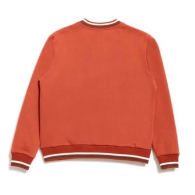 Winnie the Pooh Rust Sweatshirt For Adults, Winnie the Pooh