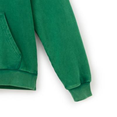 Mickey Mouse Garden Club Hoodie for Adults