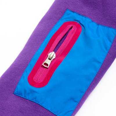 Sweat zipp&eacute; &agrave; capuche 30e&nbsp;anniversaire Disneyland Paris Grand Finale pour adultes