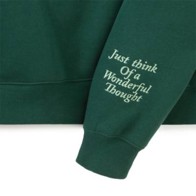 Peter Pan Hoodie for Adults