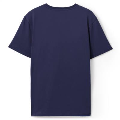 Scar and Hyenas T-Shirt For Adults, The Lion King