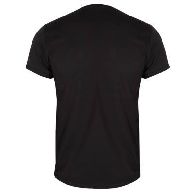 Simba & Mufasa T-Shirt For Adults, The Lion King