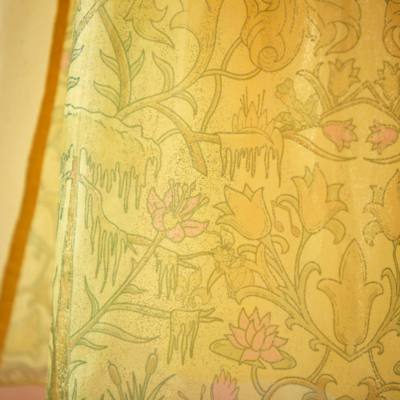 Disfraz infantil de Tiana, Tiana y el Sapo