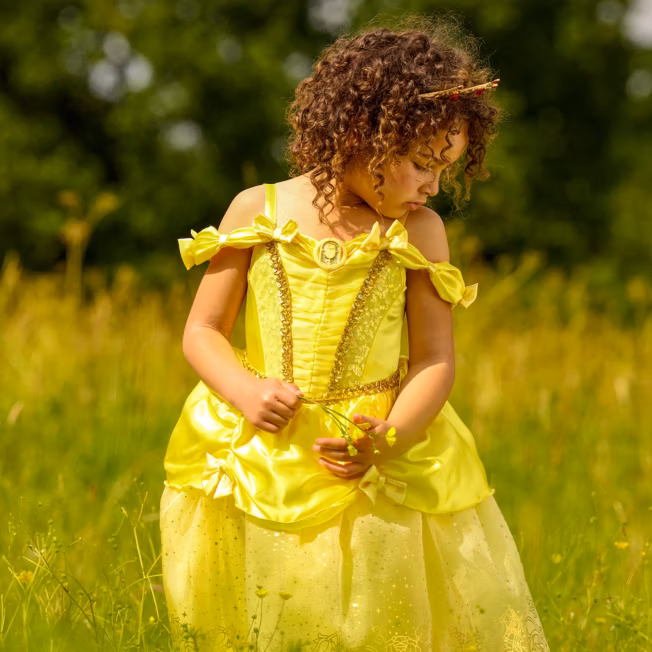 HIHCBF La Belle et la Bête Costumes de Carnaval Filles Robe de Princesse Belle pour Anniversaire Noël Fête Halloween Cosplay Cérémonie 2-3 ans HIHCBF La Belle et la Bête Costumes de Carnaval Filles Robe de Princesse Belle pour Anniversaire Noël Fête Halloween Cosplay Cérémonie 2-3 ans