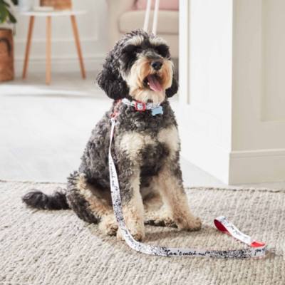 Disney Store - 101 Dalmatiner - Leine f&uuml;r Hunde