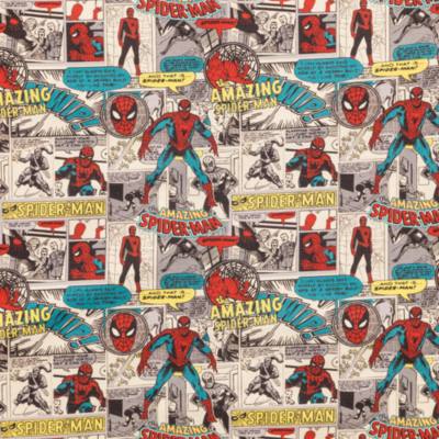 Disneyland Paris Vintage Marvel Zip Hoodie for Adults