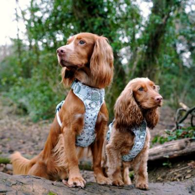 Pawsome Paws Boutique Winnie The Pooh Tough Trails Dog Harness