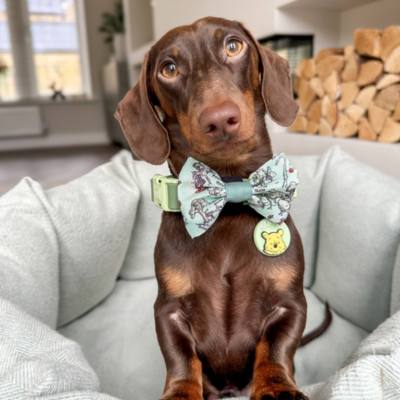 Pawsome Paws Boutique Winnie the Pooh 100 Aker Wood Bow Tie For Dogs