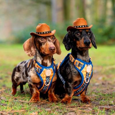 Pawsome Paws Boutique Woody Tough Trails Dog Harness, Toy Story