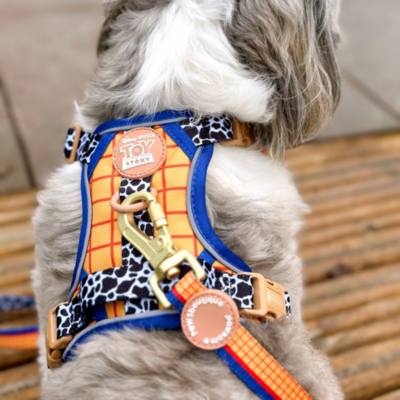 Pawsome Paws Boutique Woody Tough Trails Dog Harness, Toy Story