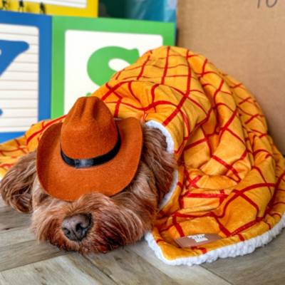 Pawsome Paws Boutique Woody Dog Blanket, Toy Story