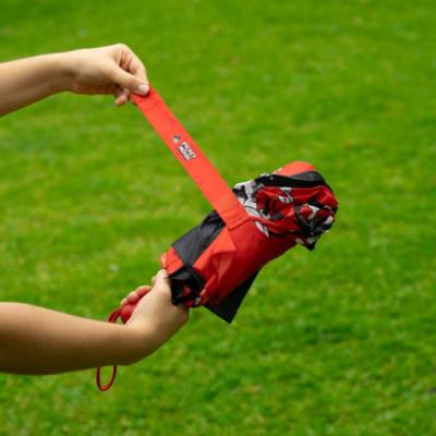 Mickey Mouse Umbrella