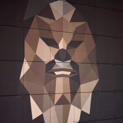 IXXI Chewbacca Wall Art, Star Wars