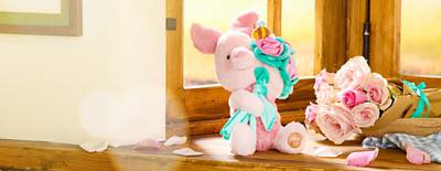 Immagine background di Strabilianti meraviglie