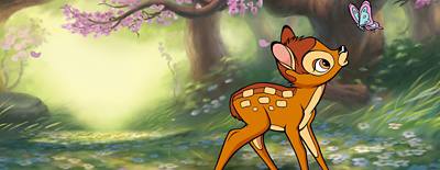 Imagen de fondo de Una aventura por el bosque