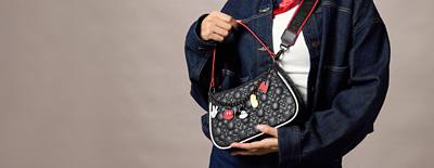 Background image of Mickey Icons