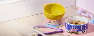 Image de fond de Basiques pour votre animal