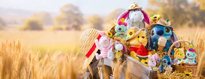 Background image of Summertime Cuddles